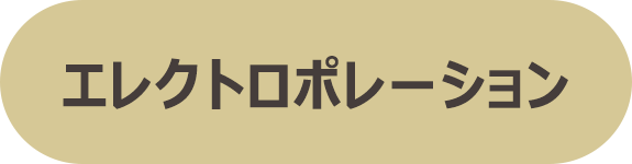 エレクトロポレーション